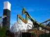 Las Vegas Walking Tours