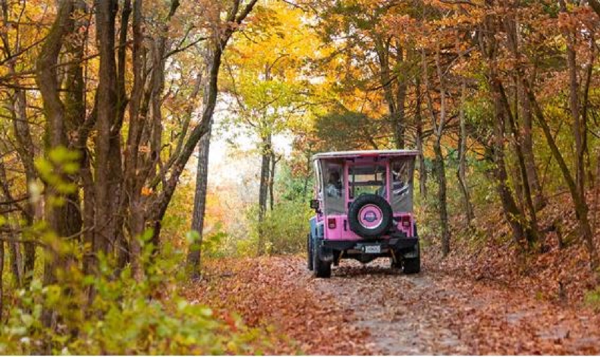 A pink Jeep drives along a forest trail surrounded by autumn foliage.