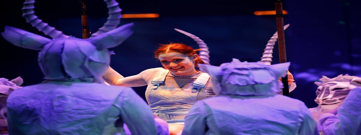 ECHO by Cirque du Soleil Dallas in Grand Prairie, Texas