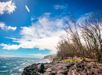 Rocky coastline with sparse trees under a bright blue sky and clouds, with the ocean on the left and the horizon in the distance.