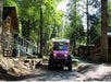 Pink Jeep driving on a narrow road through a forested area with log cabins on either side.