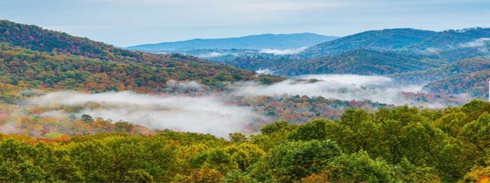 Elkmont Ghost Town Pink Jeep Tour in Pigeon Forge, Tennessee