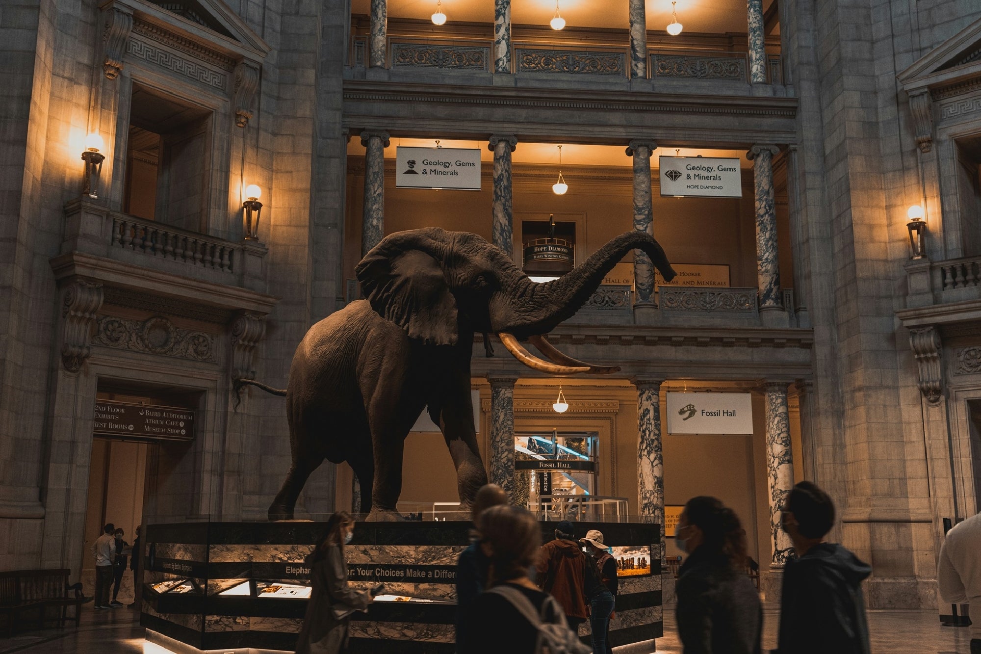 A large elephant statue is displayed in the center of a museum hall, with visitors walking around and balconies visible in the background.