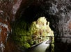 View from inside a mossy lava tube tunnel looking out toward a walkway with greenery and sunlight visible at the tunnel’s exit.