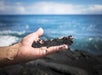 A hand holds a pile of black sand with the ocean and sky visible in the background.