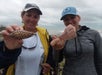Everglades Area Tours