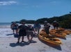 A group of six people wearing life jackets stand on a sandy shore next to three yellow kayaks, with trees and water in the background.