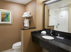 Modern hotel bathroom with a large mirror, granite countertop with a sink, towels on a shelf above the toilet, and a walk-in shower with a glass door in the background.