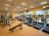 A gym interior with treadmills, ellipticals, weight machines, and a bench. Large windows let in natural light. Televisions are mounted on the walls.