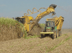 Two pieces of farming equipment harvesting sugar cane on a sunny day on the Felicity Plantation Guided Tour.