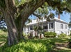 Large oak tree with sprawling branches shades a white, two-story house with shutters and a raised porch surrounded by lush greenery and ferns.