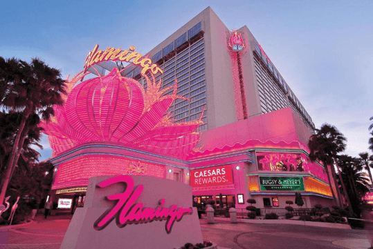 Neon pink themed hotel exterior.