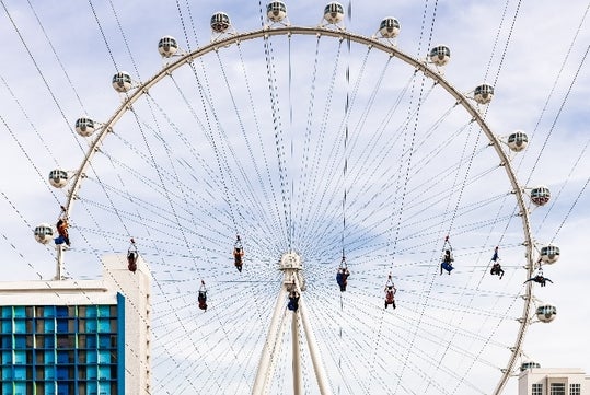 Flying Linq Zipline 