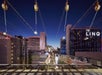 Flying Linq Zipline 