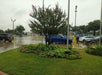 A small landscaped garden with flowering plants and a tree in the center of a wet parking lot on a rainy day. Several cars are parked in the background.