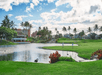 A scenic golf course with palm trees, a pond, and distant buildings under a partly cloudy sky. Two people are visible in the background.