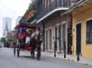 French Quarter Carriage Tours in New Orleans, LA