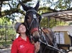 French Quarter Carriage Tours in New Orleans, LA