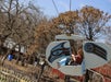 A person rides a sky tram shaped like a bird against a backdrop of leafless trees and blue sky.