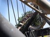 A roller coaster filled with people descends a steep track outdoors on a sunny day, surrounded by structural supports and trees in the background.