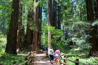 Full-Day Muir Woods, Sausalito & San Francisco Tour by Private Jeep in San Francisco, California