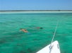 Two guests snorkeling with Fury Water Adventure in Key West, Florida.