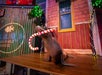 A sea lion is on a wooden stage holding a large candy cane prop in its mouth, with festive lights and decorations in the background.