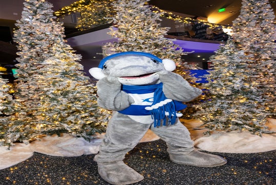 A person in a dolphin costume wearing blue earmuffs and a scarf stands in front of snow-covered, decorated Christmas trees with lights.