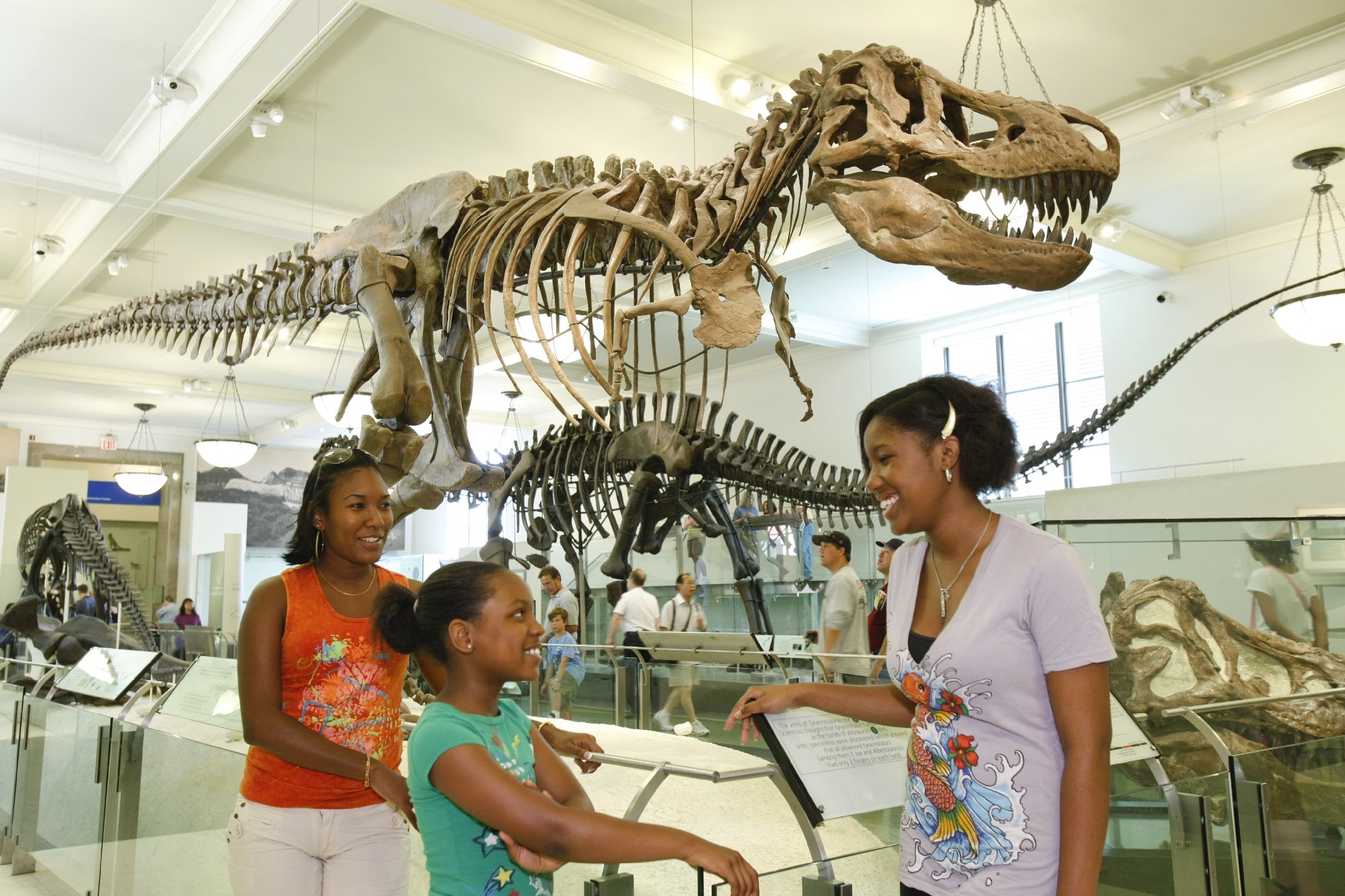 Three people stand and talk in front of a large dinosaur skeleton display in a museum, with other visitors visible in the background.