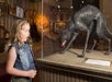 Encountering mythical beasts inside the oddities and curiosities gallery.