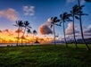 A grassy area with palm trees and a body of water in the background. It depicts a tropical landscape with a beach, palm trees, and a beautiful sky, - Shaka Guide: Driving and Walking Audio Tours
