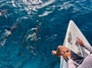 Person sitting at the front of a boat, watching dolphins swim in clear blue water.