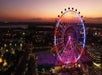 A captivating nighttime view of The Wheel at Icon Park, with vibrant and colorful lights illuminating the wheel.