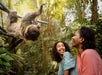 A woman and a girl smile at a sloth hanging from a tree branch in a lush, green forest setting.
