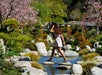 A woman in a floral dress walks across stepping stones in a stream, surrounded by rocks and blooming trees in a garden.