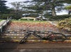 Golden Gate Park e-Bike Rentals