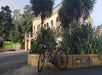 Golden Gate Park e-Bike Rentals