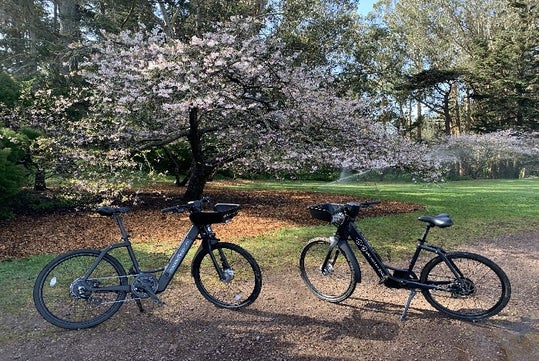 Golden Gate Park e-Bike Rentals