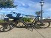 Golden Gate Park e-Bike Rentals