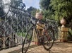 Golden Gate Park e-Bike Rentals