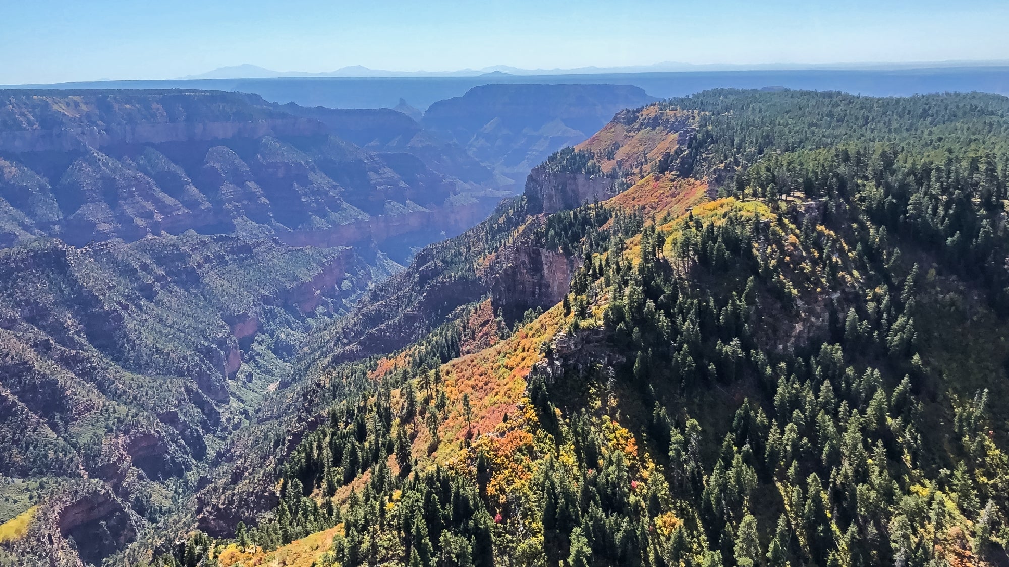 A view of a forested canyon landscape with green trees, rocky cliffs, and distant hazy mountains under a clear blue sky.