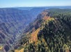 A view of a forested canyon landscape with green trees, rocky cliffs, and distant hazy mountains under a clear blue sky.