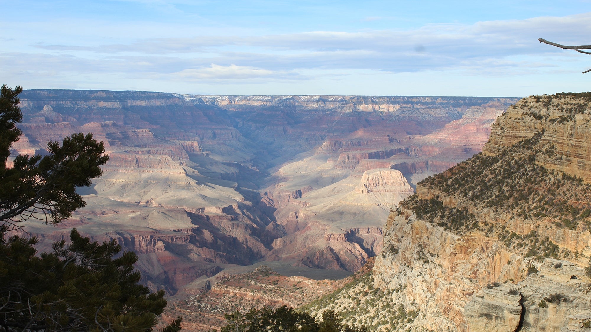 View of the Grand Canyon showing layered rock formations, steep cliffs, and a deep valley under a partly cloudy sky. Trees frame the foreground.