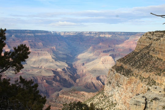 View of the Grand Canyon showing layered rock formations, steep cliffs, and a deep valley under a partly cloudy sky. Trees frame the foreground.