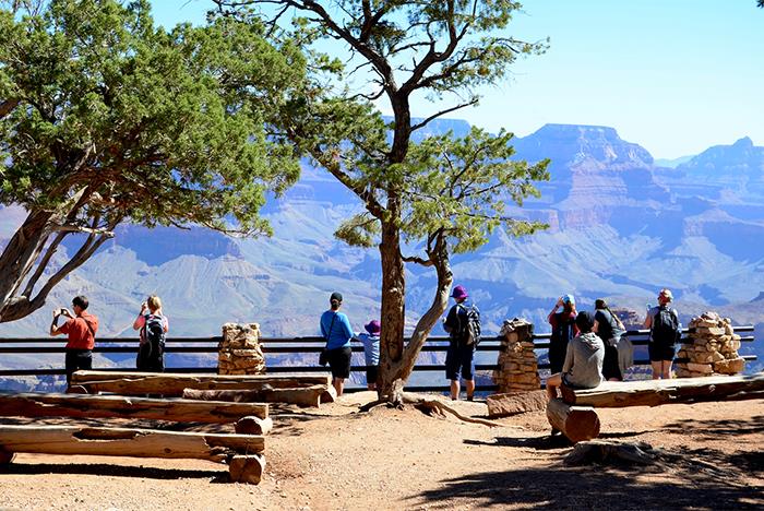 People stand and take photos at a Grand Canyon viewpoint, with benches and trees in the foreground and canyon landscape in the background.