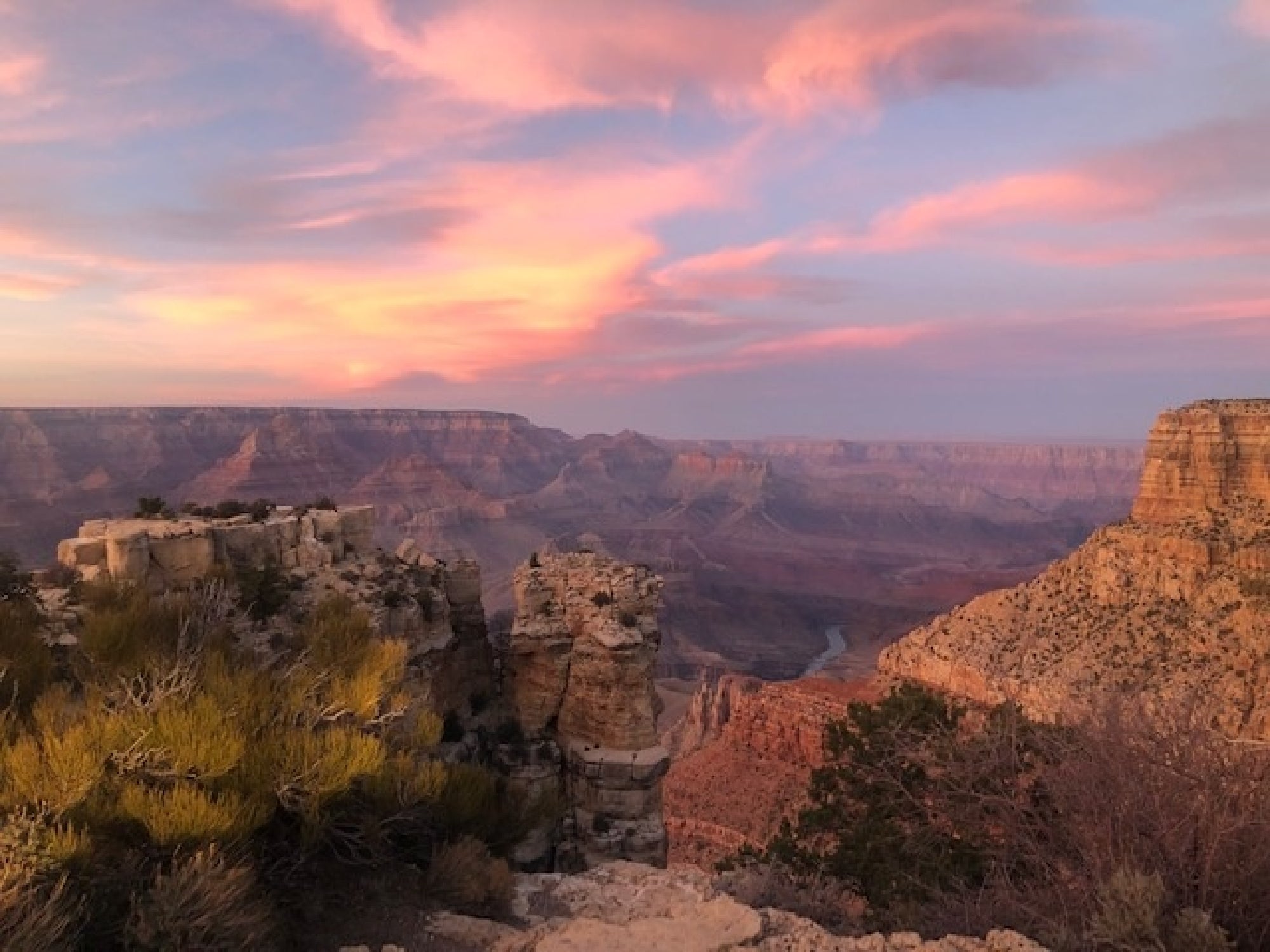 View of the Grand Canyon at sunset with pink clouds in the sky, layered rock formations, and sparse vegetation in the foreground.