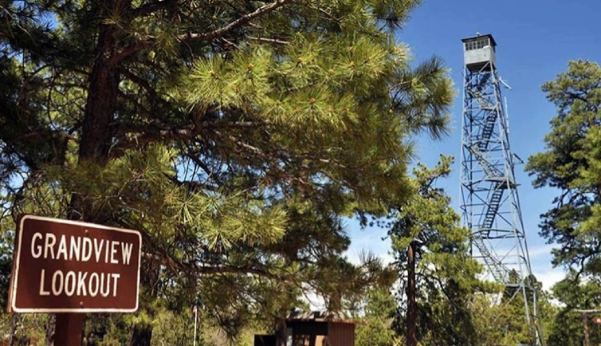 A metal fire lookout tower stands behind trees next to a brown sign that reads "Grandview Lookout" under a clear blue sky.