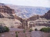 Grand Canyon West Rim Bus Tour with Grand Canyon Destinations in Las Vegas, NV