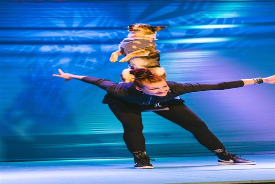 A performer balances with a small dog on her back on a blue stage.