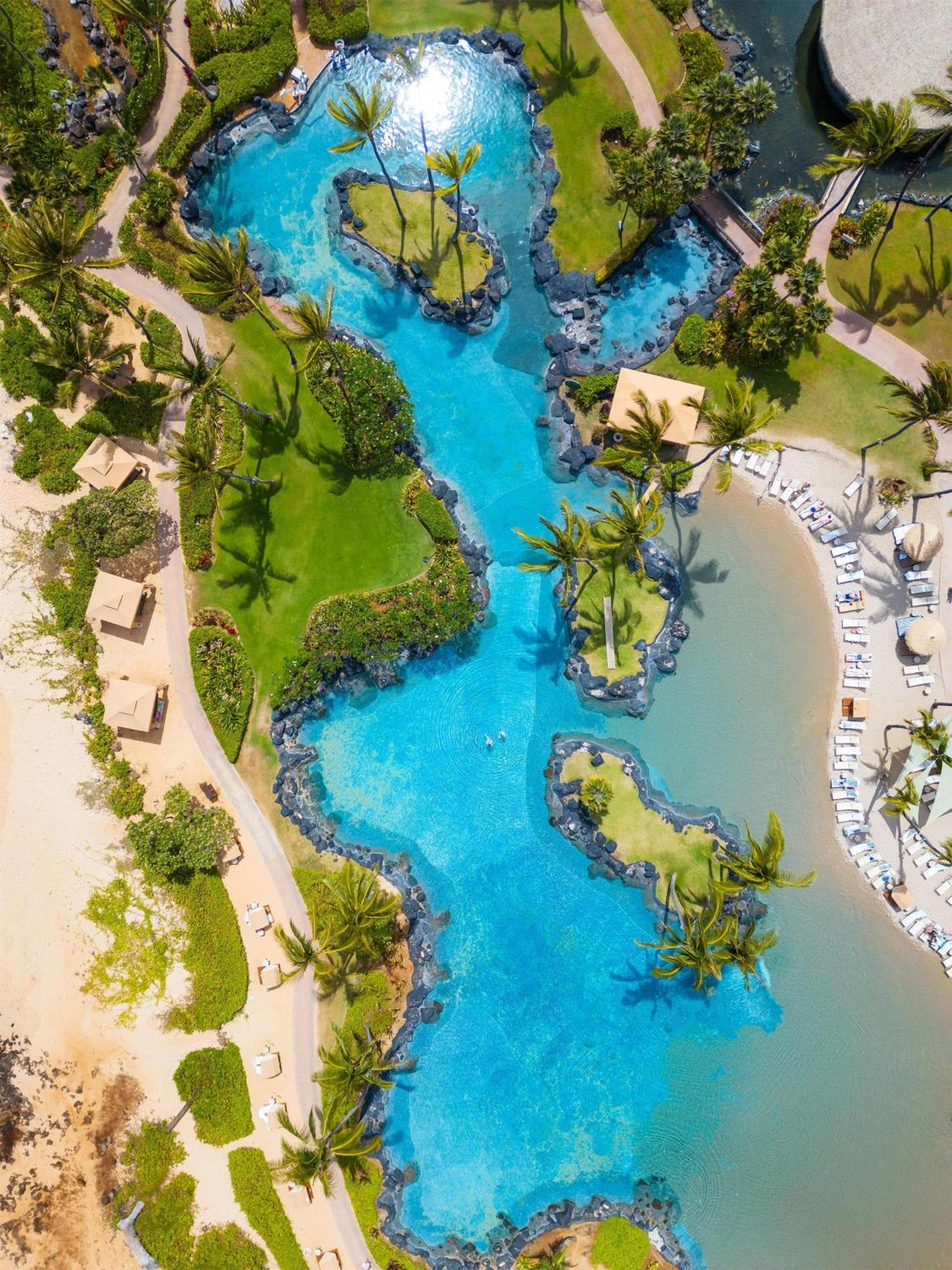 Aerial view of a resort pool area with winding blue water, palm trees, lounge chairs, cabanas, and surrounding greenery.